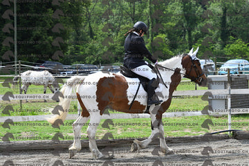 BEA_8471.JPG