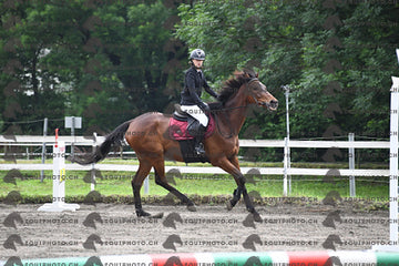 BEA_6472.JPG