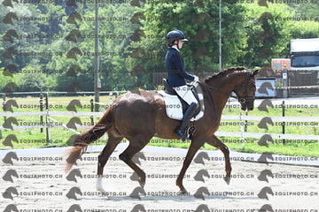 BEA_3288.JPG