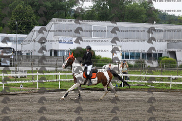 BEA_6920.JPG