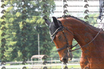 BEA_1706.JPG