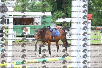 BEA_6165.JPG