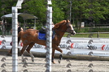 BEA_0021.JPG