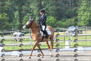 BEA_1369.JPG