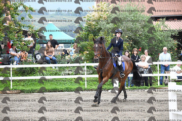 BEA_6832.JPG