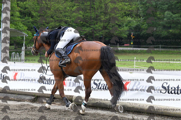 BEA_7201.JPG