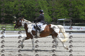BEA_8207.JPG
