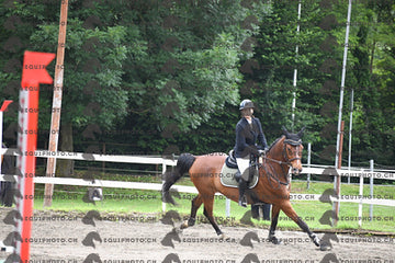 BEA_7107.JPG
