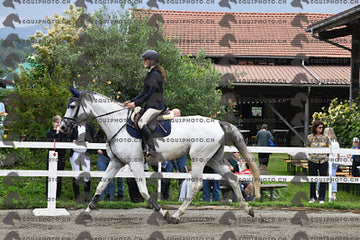 BEA_6772.JPG