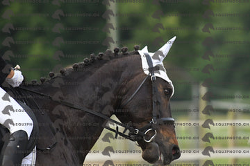 BEA_0617.JPG