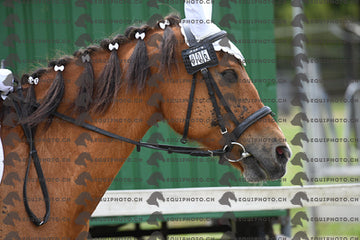 BEA_9702.JPG