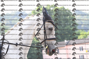 BEA_1443.JPG