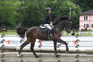 BEA_7592.JPG