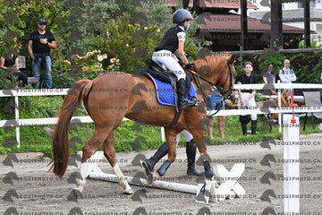 BEA_8163.JPG