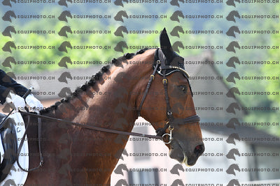BEA_1719.JPG