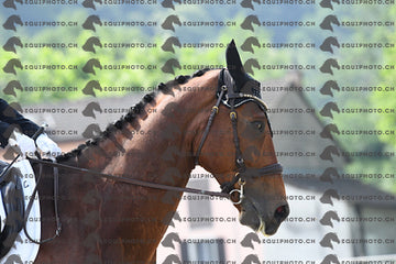 BEA_1719.JPG