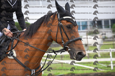 BEA_7505.JPG