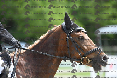 BEA_7739.JPG
