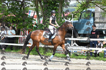 BEA_8249.JPG