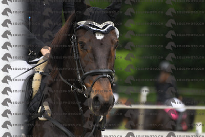 BEA_7618.JPG