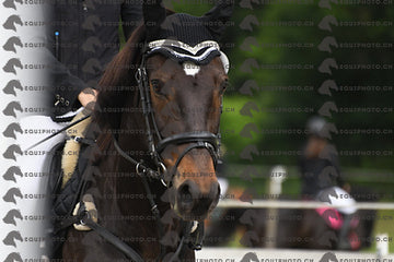 BEA_7618.JPG