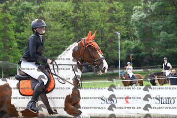 BEA_6220.JPG