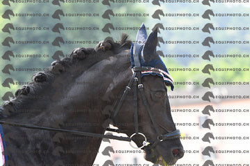 BEA_1255.JPG