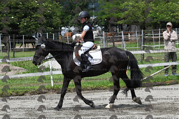 BEA_8684.JPG