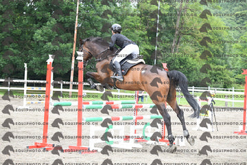 BEA_7804.JPG